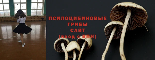 винт Нея