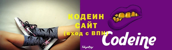 дурь Надым