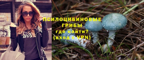 дживик Нефтегорск