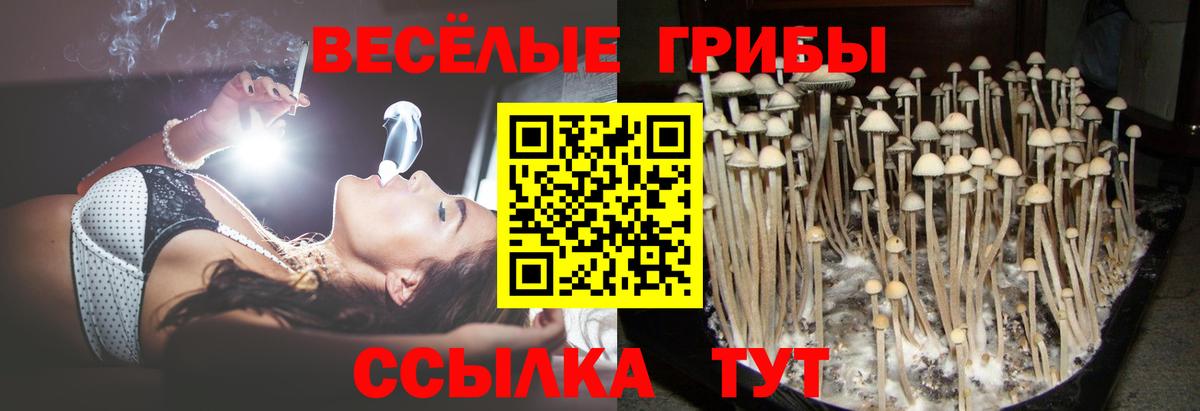 Галлюциногенные грибы GOLDEN TEACHER  где купить наркоту  Северодвинск  Галлюциногенные грибы ЛСД 